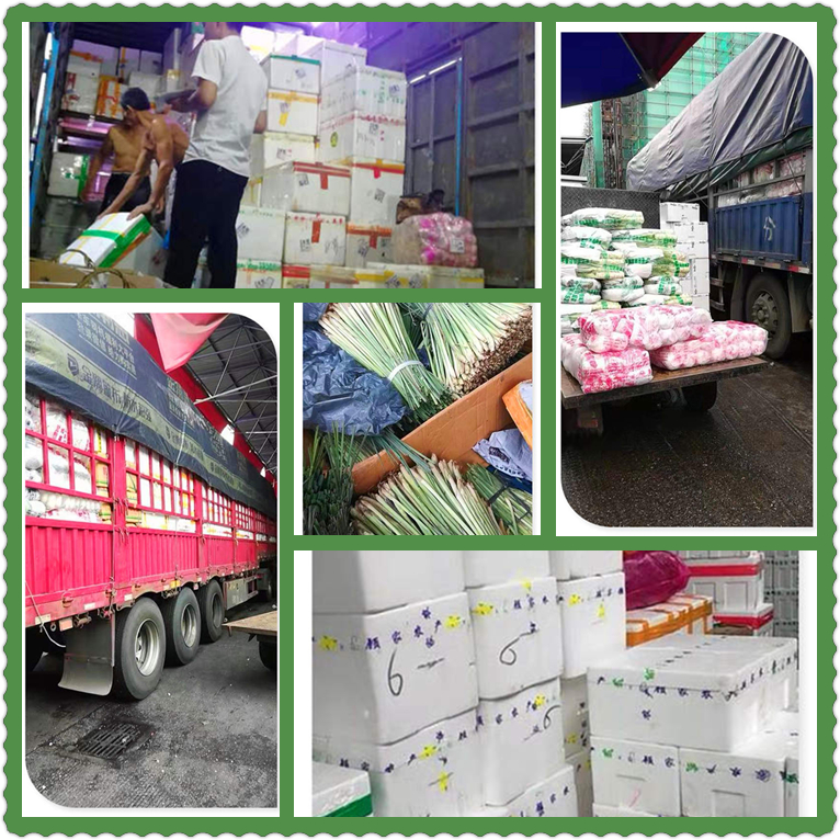 腾博会官网 - 诚信为本,专业服务!