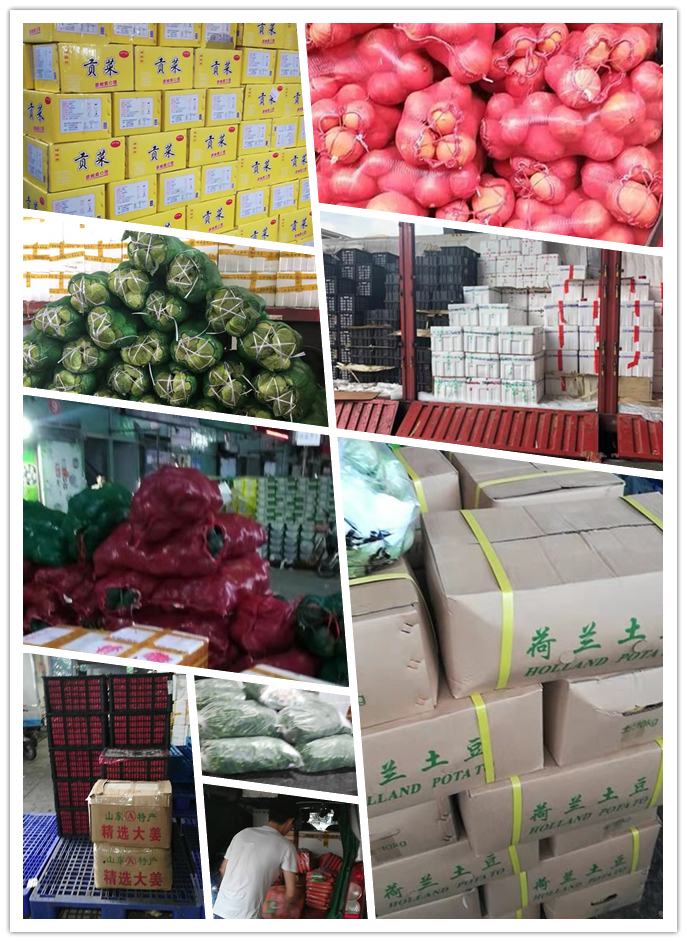 腾博会官网 - 诚信为本,专业服务!