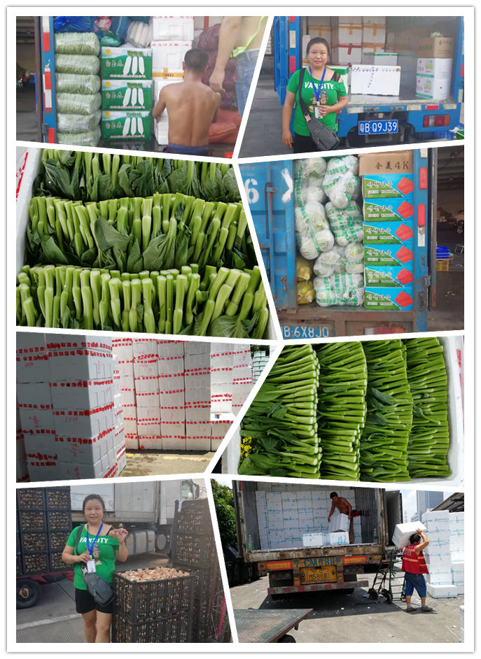 腾博会官网 - 诚信为本,专业服务!