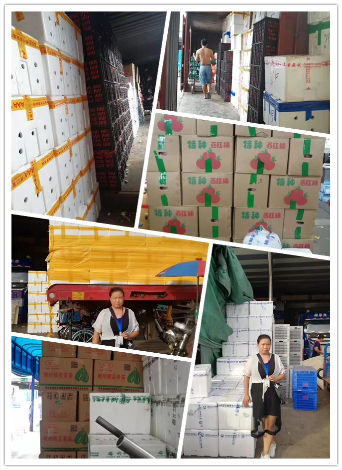 腾博会官网 - 诚信为本,专业服务!