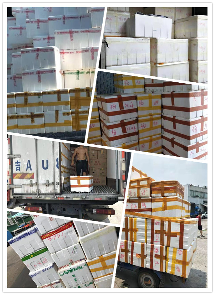 腾博会官网 - 诚信为本,专业服务!