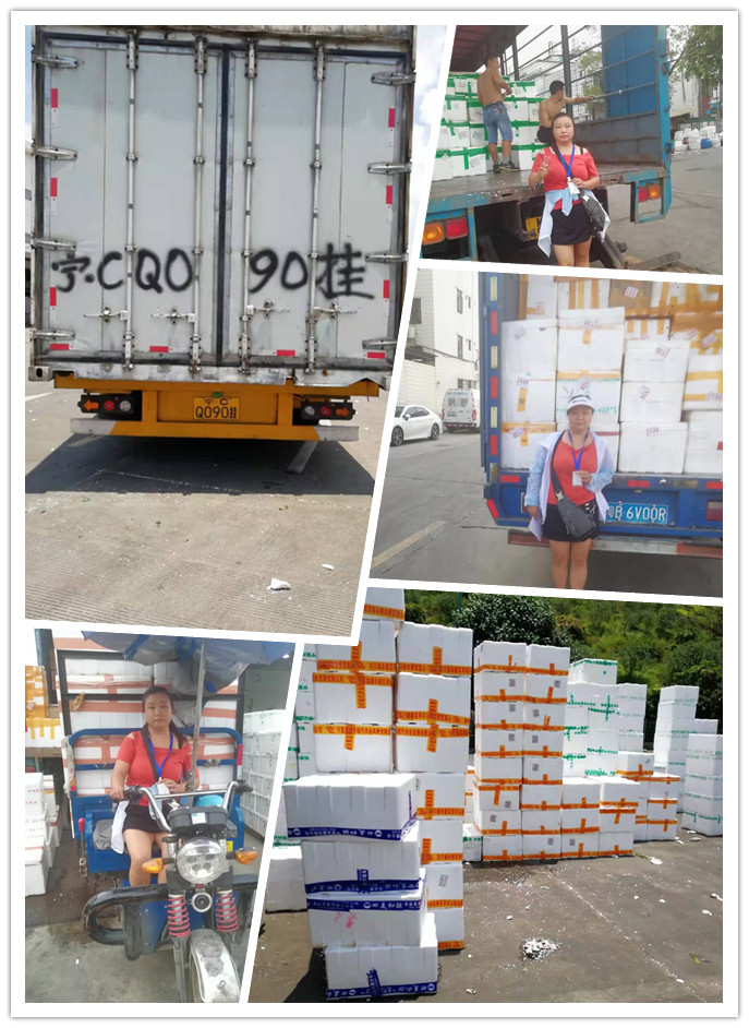 腾博会官网 - 诚信为本,专业服务!