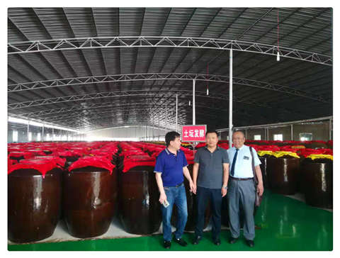 腾博会官网 - 诚信为本,专业服务!