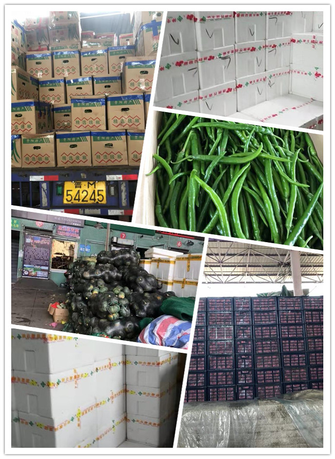 腾博会官网 - 诚信为本,专业服务!