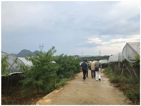 腾博会官网 - 诚信为本,专业服务!