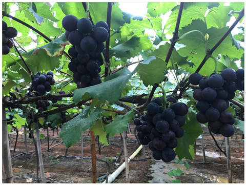 腾博会官网 - 诚信为本,专业服务!