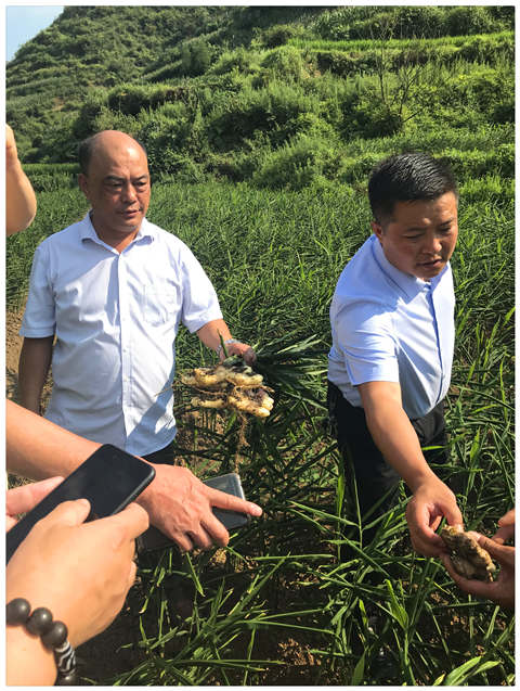 腾博会官网 - 诚信为本,专业服务!