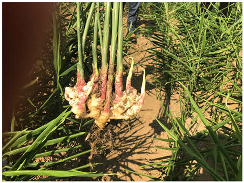 腾博会官网 - 诚信为本,专业服务!