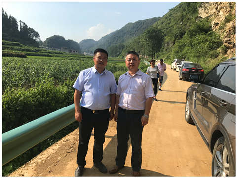 腾博会官网 - 诚信为本,专业服务!