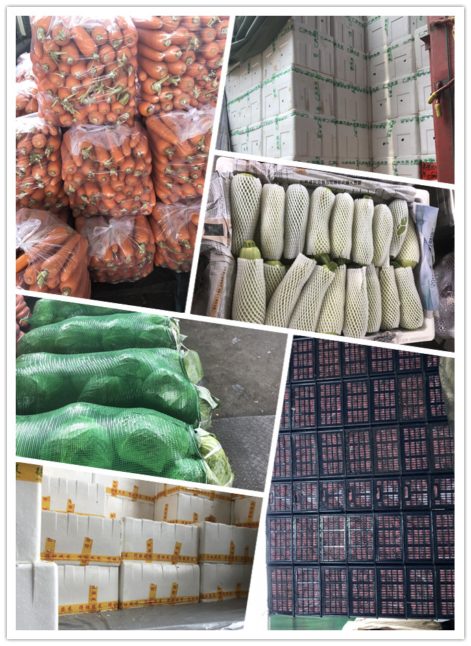 腾博会官网 - 诚信为本,专业服务!