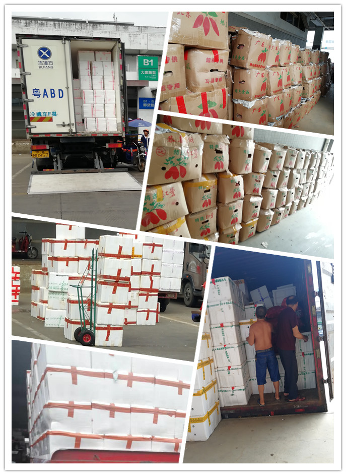 腾博会官网 - 诚信为本,专业服务!