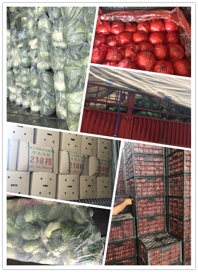 腾博会官网 - 诚信为本,专业服务!