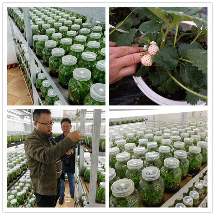 腾博会官网 - 诚信为本,专业服务!