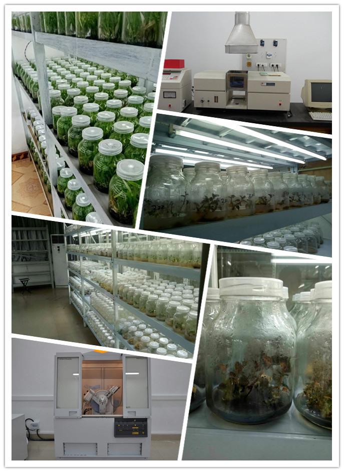 腾博会官网 - 诚信为本,专业服务!