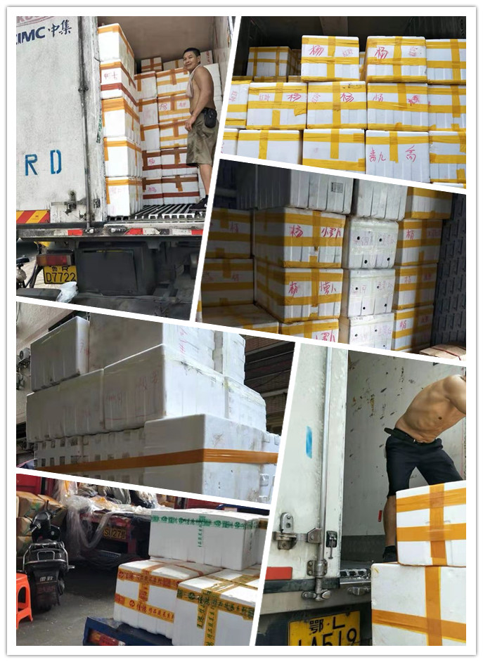 腾博会官网 - 诚信为本,专业服务!