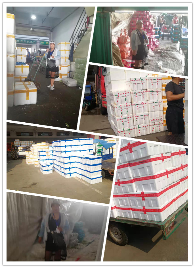 腾博会官网 - 诚信为本,专业服务!