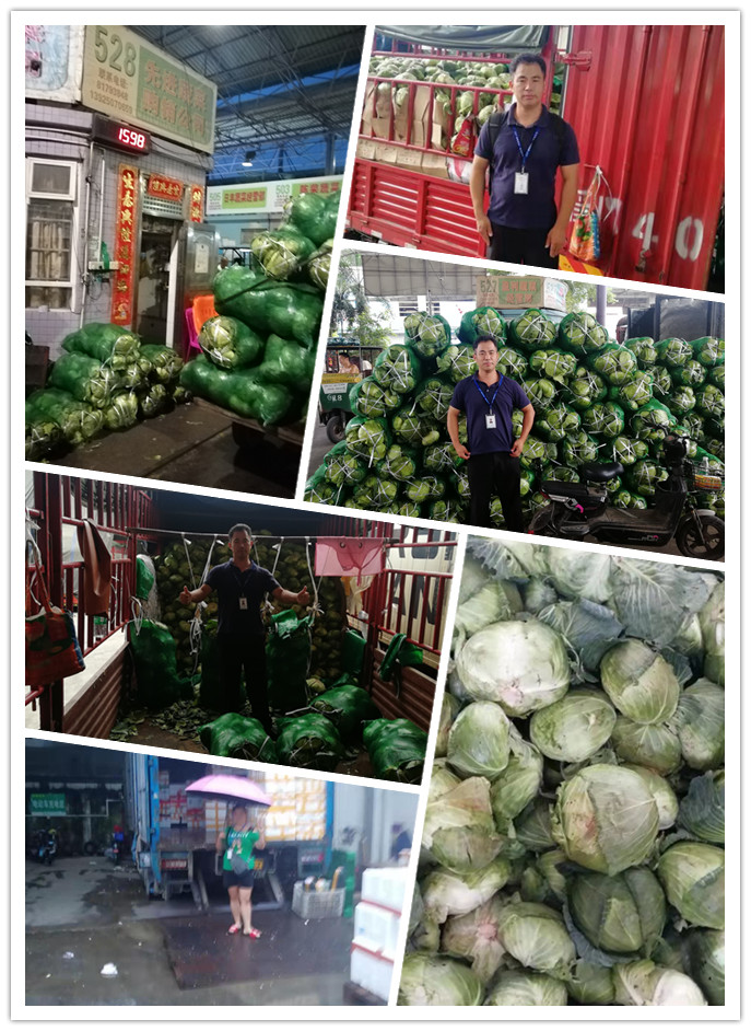 腾博会官网 - 诚信为本,专业服务!