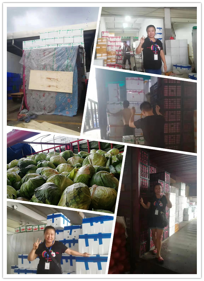 腾博会官网 - 诚信为本,专业服务!