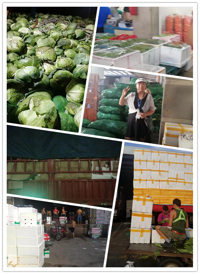 腾博会官网 - 诚信为本,专业服务!