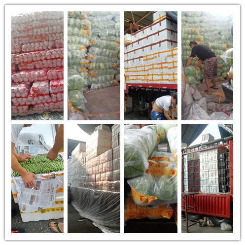 腾博会官网 - 诚信为本,专业服务!