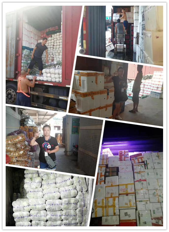 腾博会官网 - 诚信为本,专业服务!