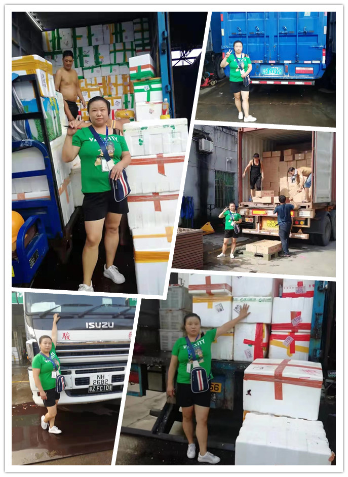 腾博会官网 - 诚信为本,专业服务!