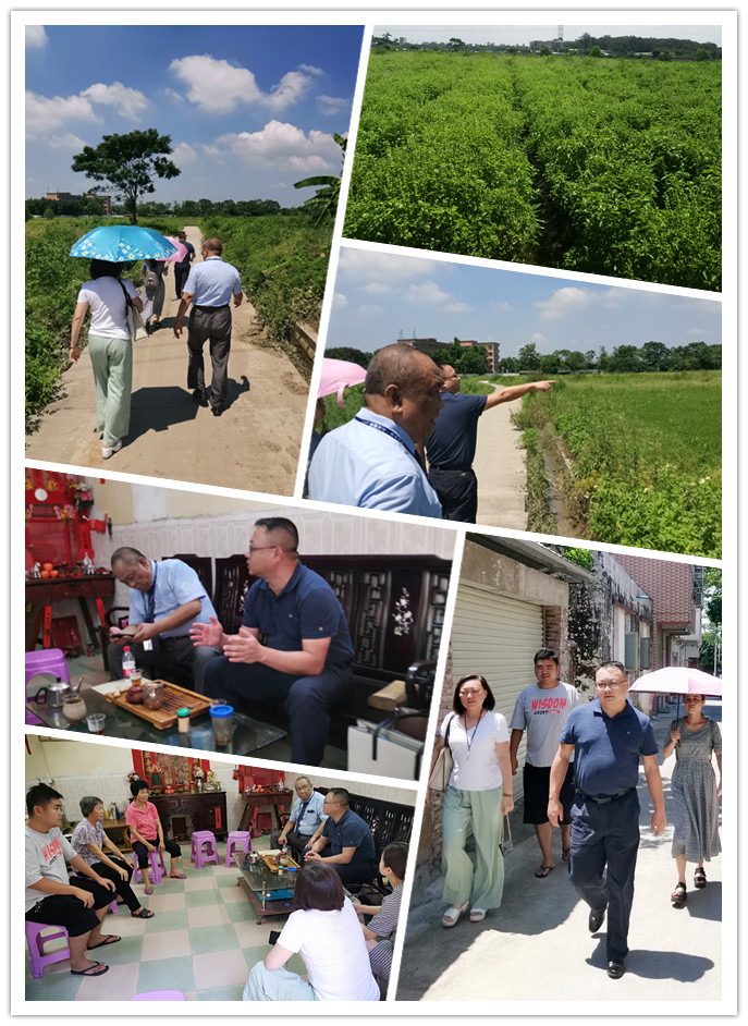 腾博会官网 - 诚信为本,专业服务!