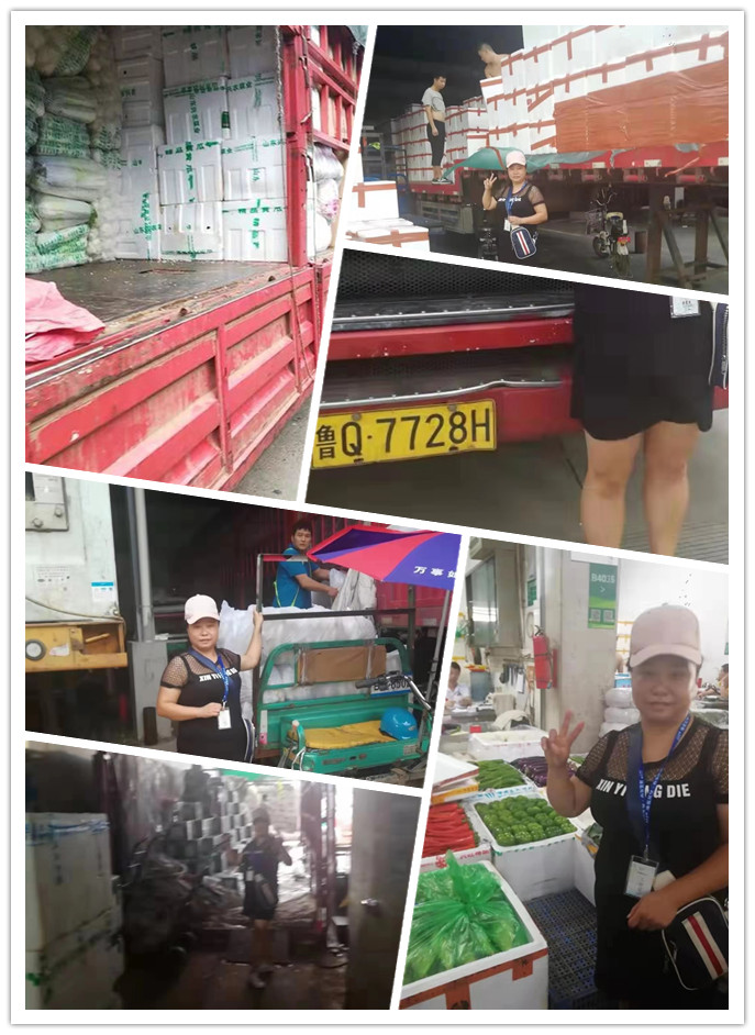 腾博会官网 - 诚信为本,专业服务!