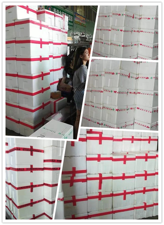 腾博会官网 - 诚信为本,专业服务!