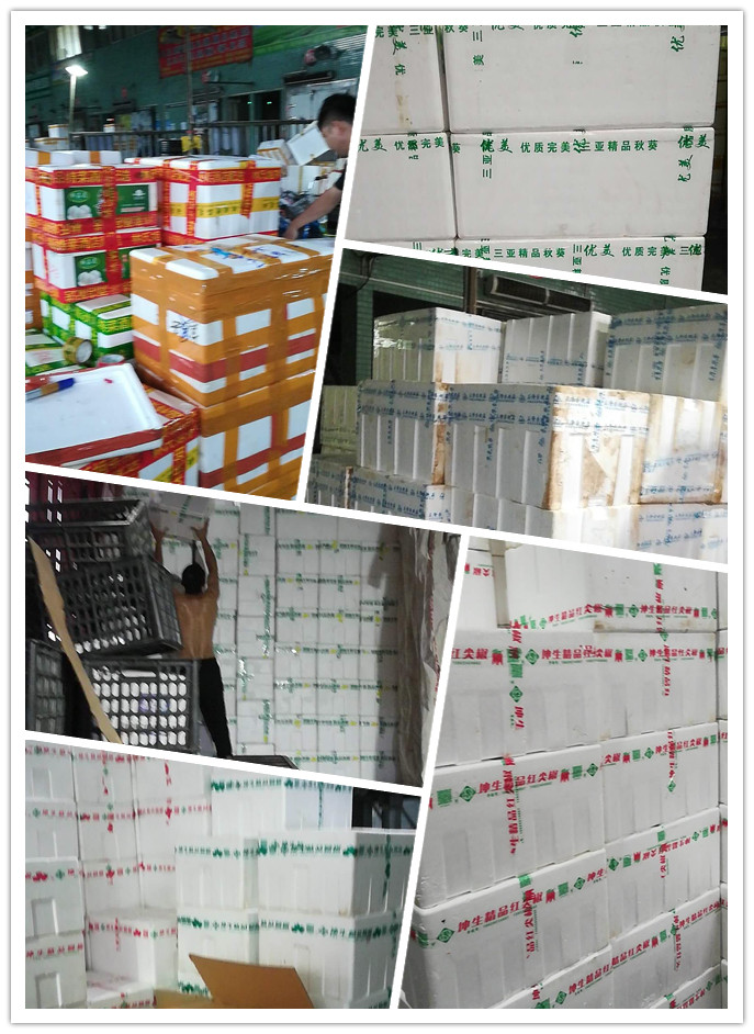 腾博会官网 - 诚信为本,专业服务!