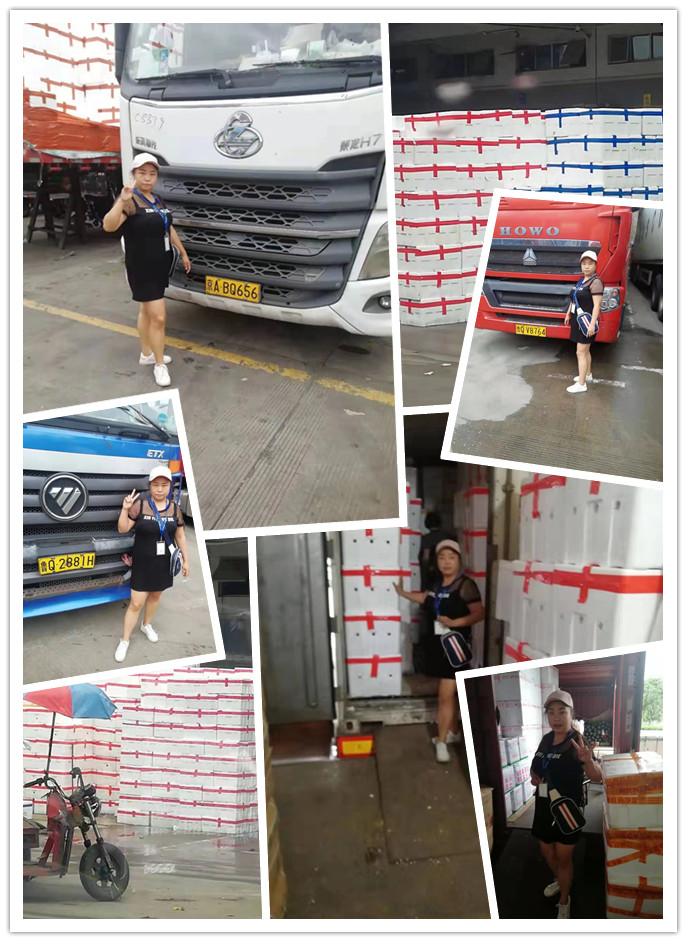 腾博会官网 - 诚信为本,专业服务!