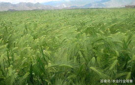 腾博会官网 - 诚信为本,专业服务!