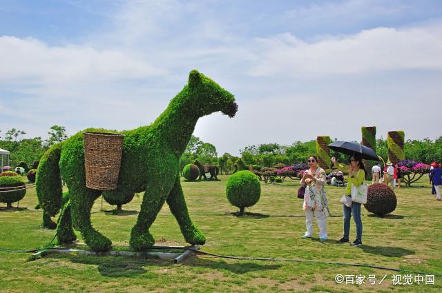 腾博会官网 - 诚信为本,专业服务!