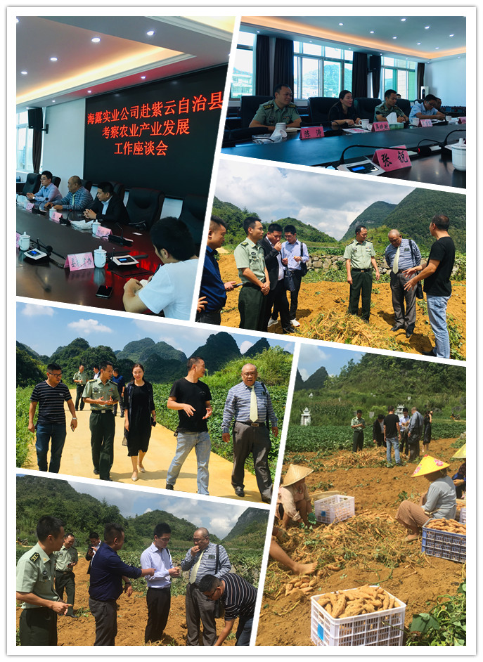 腾博会官网 - 诚信为本,专业服务!