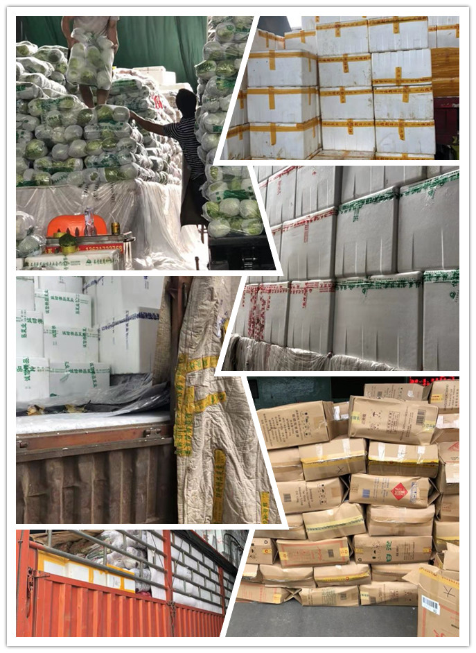 腾博会官网 - 诚信为本,专业服务!