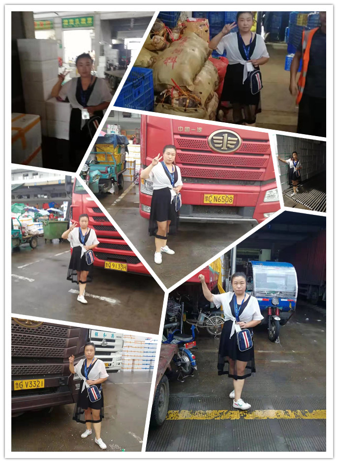 腾博会官网 - 诚信为本,专业服务!