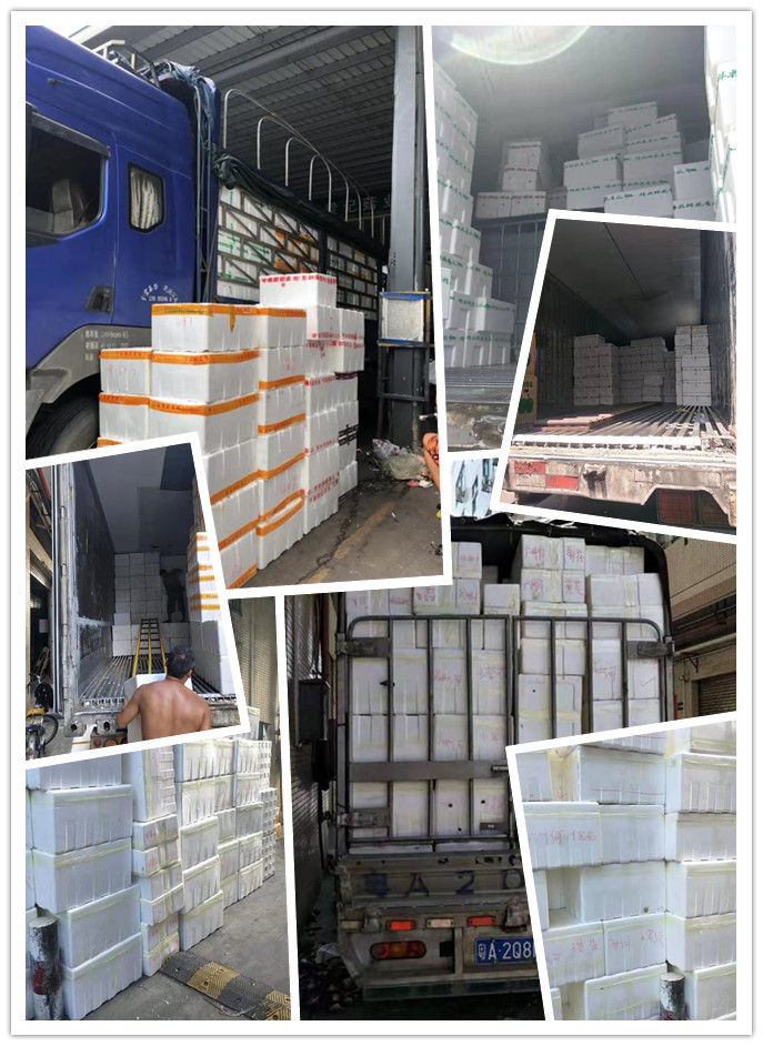 腾博会官网 - 诚信为本,专业服务!