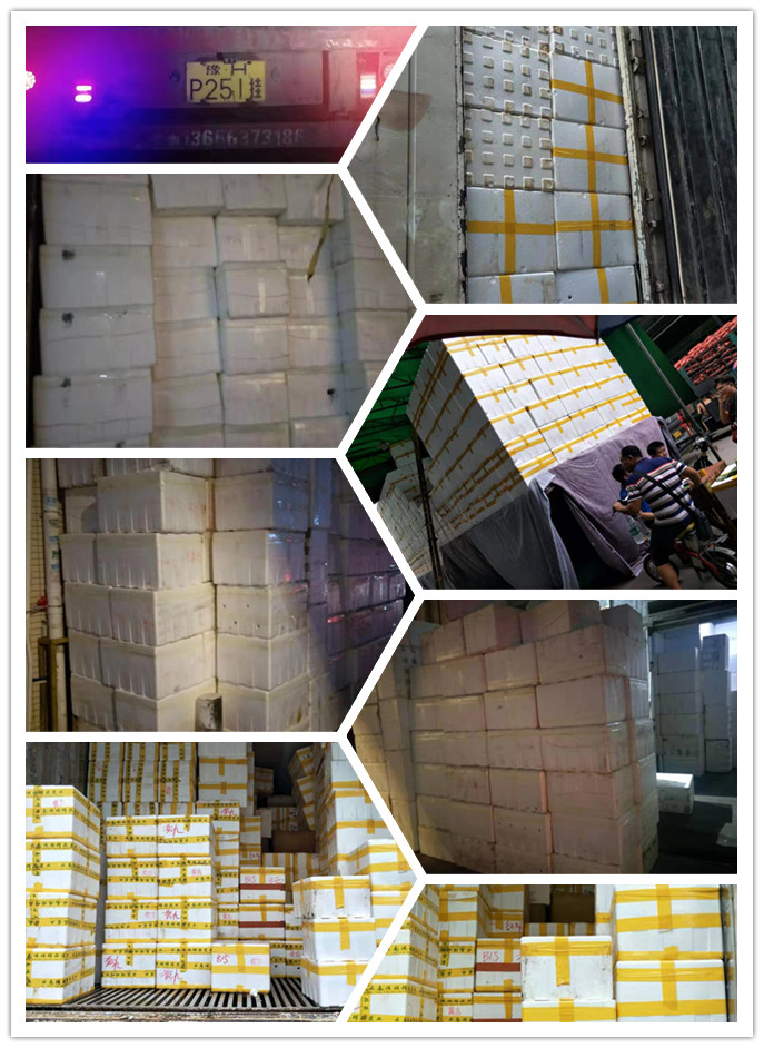 腾博会官网 - 诚信为本,专业服务!