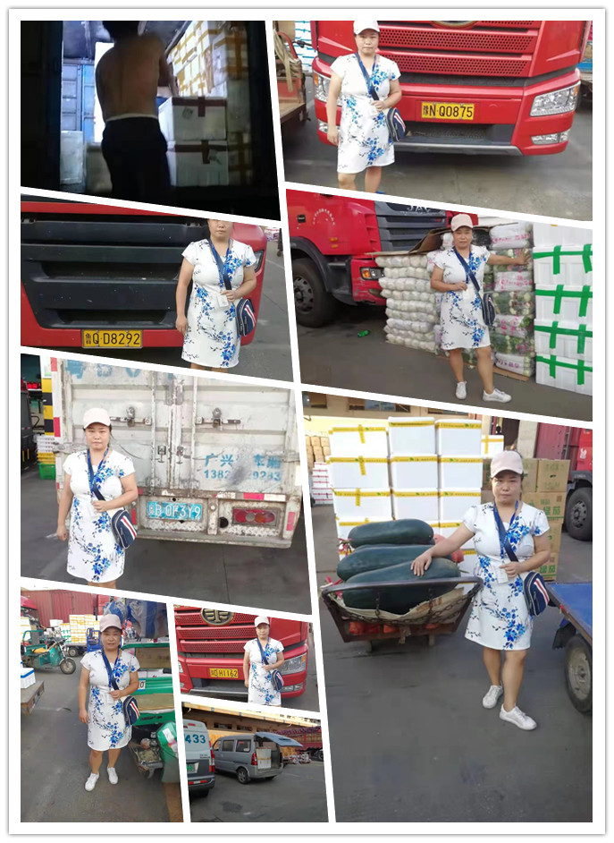 腾博会官网 - 诚信为本,专业服务!