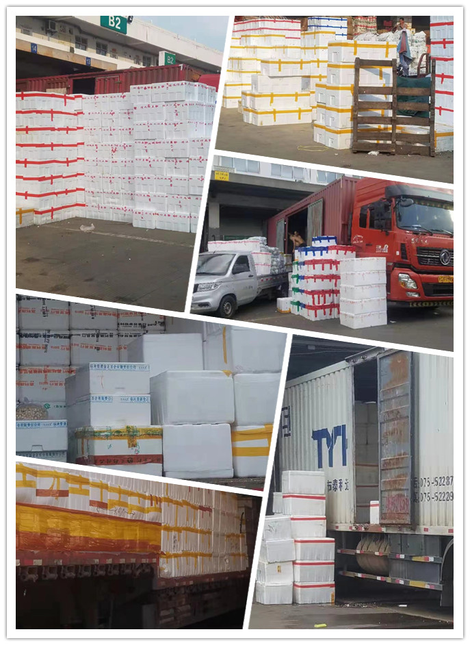 腾博会官网 - 诚信为本,专业服务!