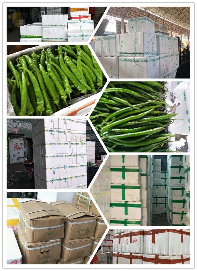 腾博会官网 - 诚信为本,专业服务!