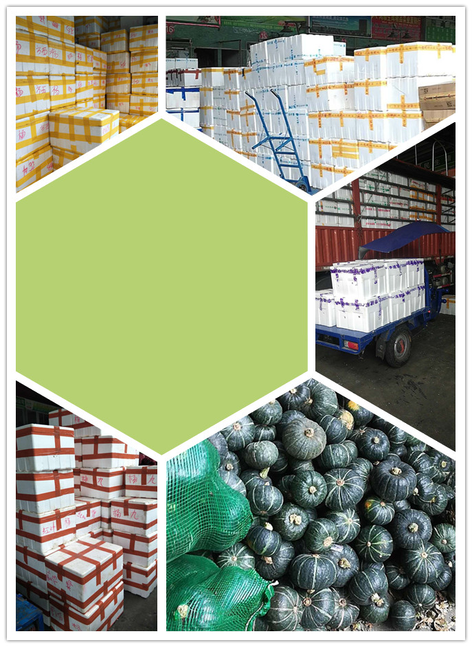 腾博会官网 - 诚信为本,专业服务!