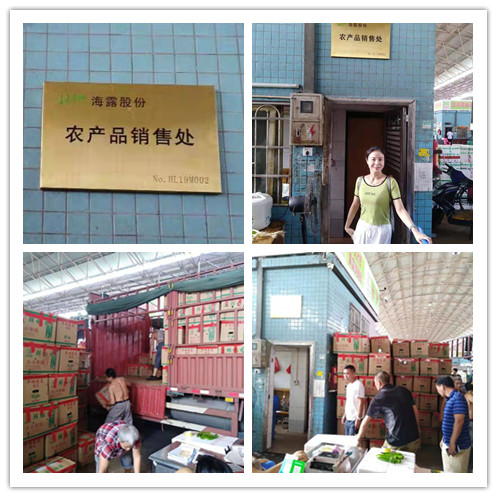 腾博会官网 - 诚信为本,专业服务!