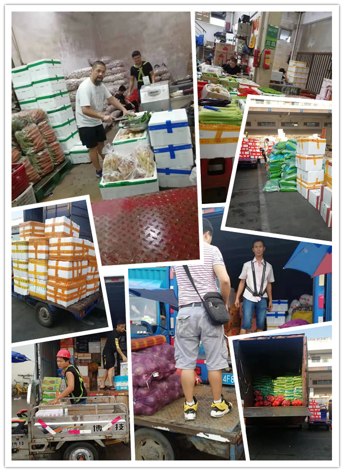 腾博会官网 - 诚信为本,专业服务!