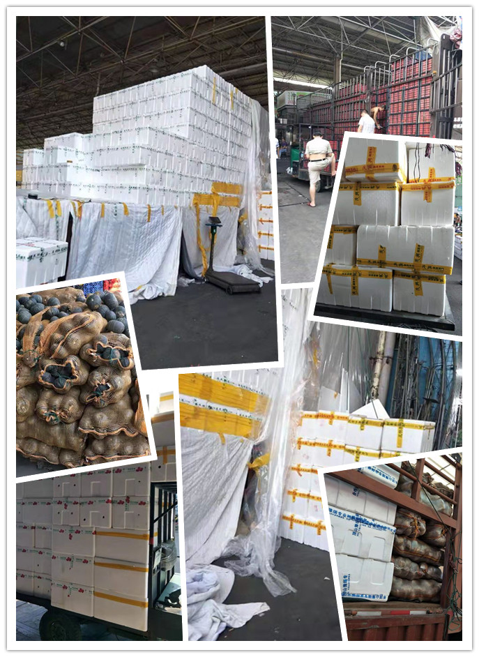 腾博会官网 - 诚信为本,专业服务!