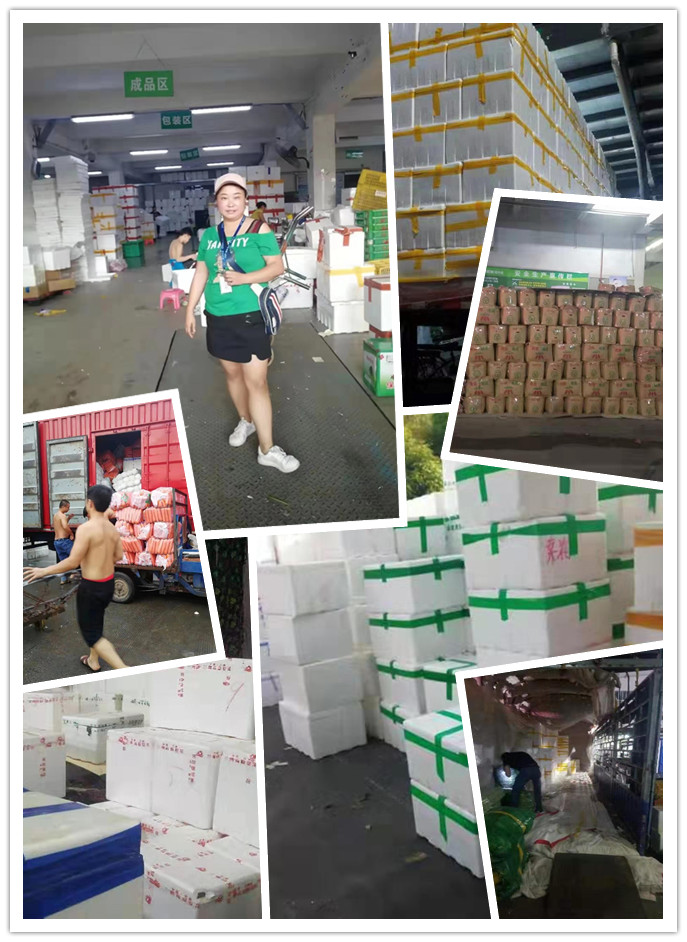 腾博会官网 - 诚信为本,专业服务!