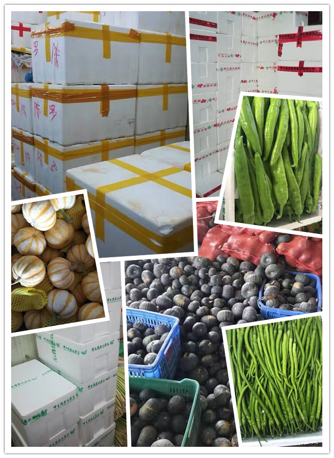 腾博会官网 - 诚信为本,专业服务!