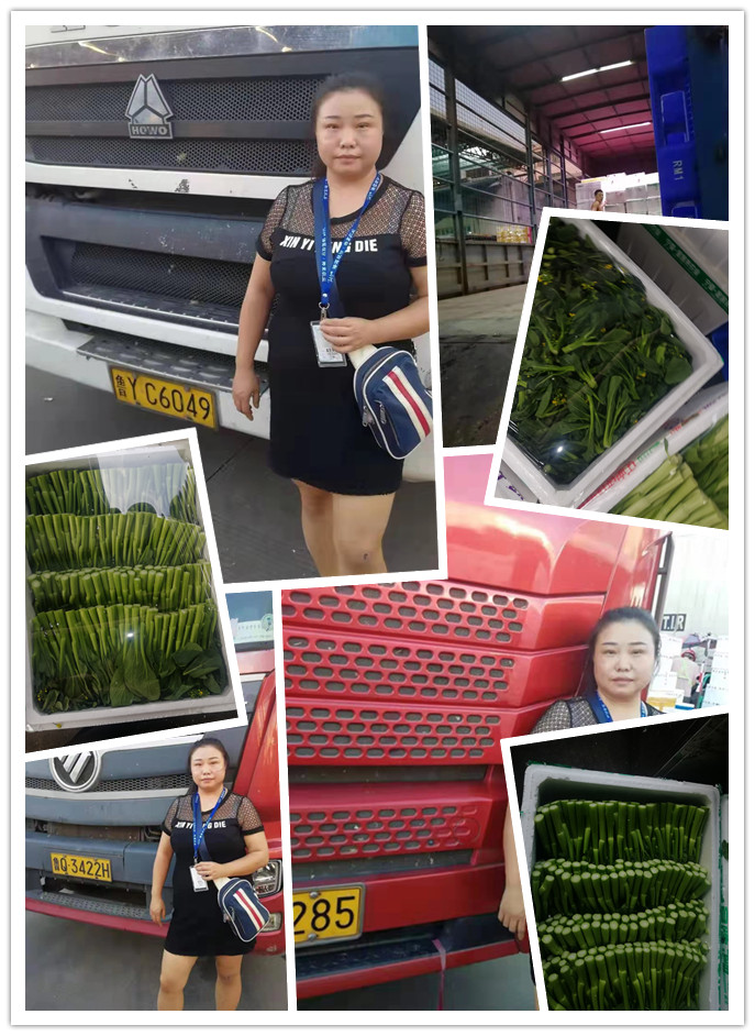 腾博会官网 - 诚信为本,专业服务!