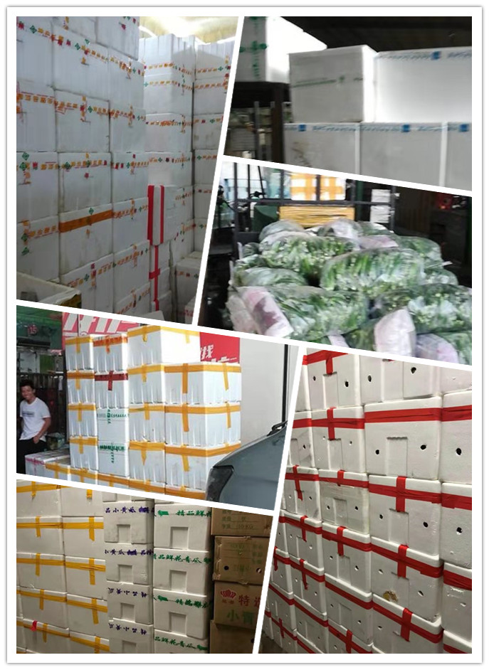 腾博会官网 - 诚信为本,专业服务!