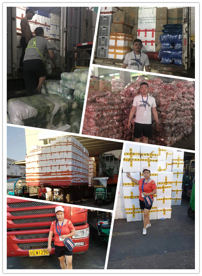 腾博会官网 - 诚信为本,专业服务!